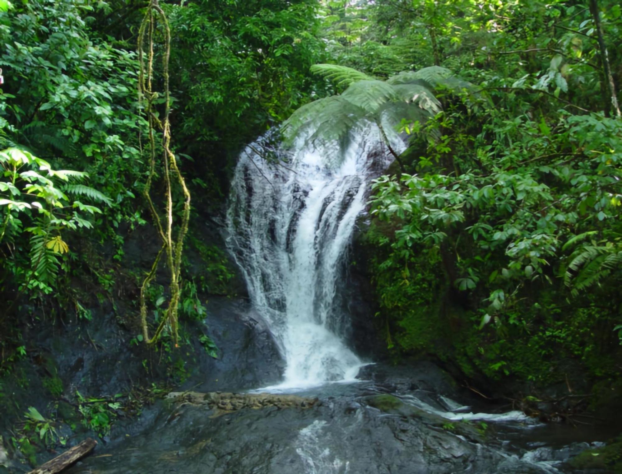 Light Of Dawn Villa Quepos Exterior photo