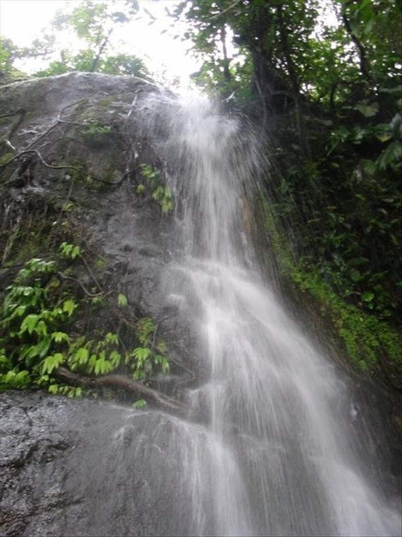 Light Of Dawn Villa Quepos Exterior photo